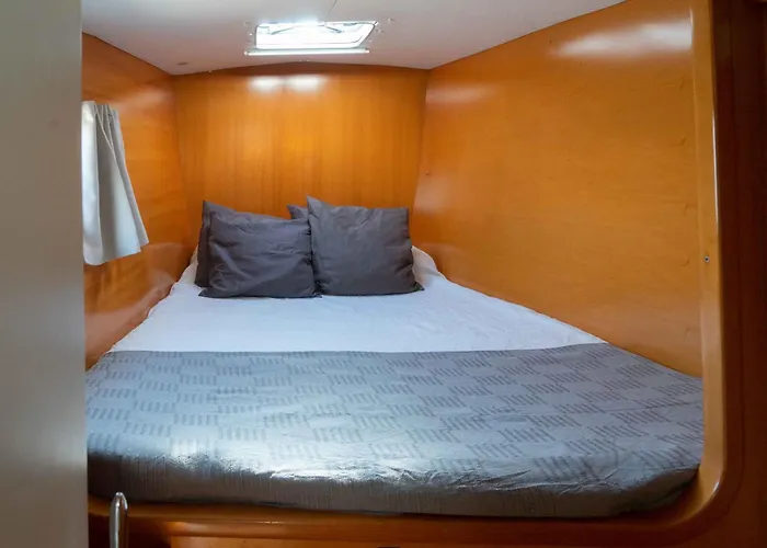 Catamaran Orion